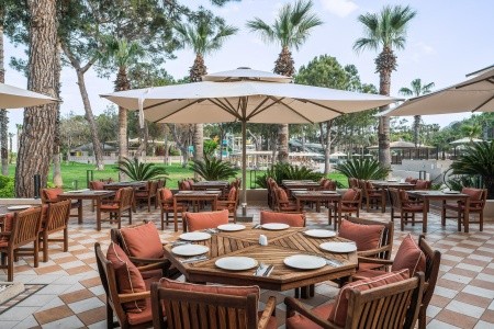 Balmy Foresta (Ex. Paloma Foresta) - 160