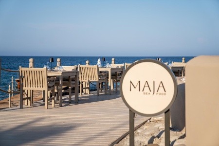 Balmy Foresta (Ex. Paloma Foresta) - 162