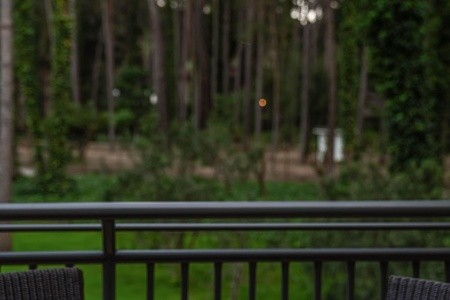 Balmy Foresta (Ex. Paloma Foresta) - 165