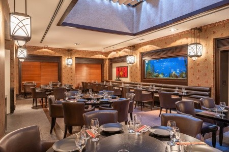 Balmy Foresta (Ex. Paloma Foresta) - 166