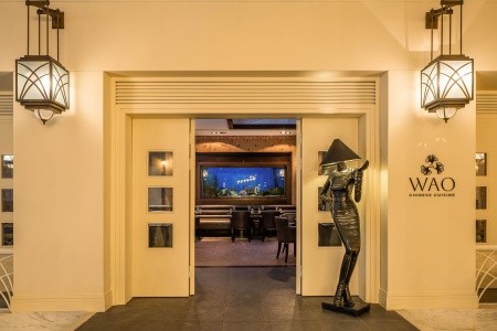 Balmy Foresta (Ex. Paloma Foresta) - 167