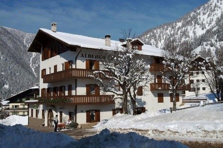 Stella Alpina (Bellamonte) - 2