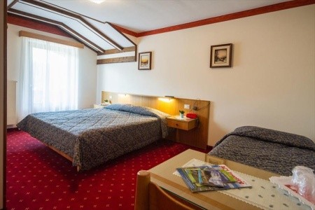 Stella Alpina (Bellamonte) - 17