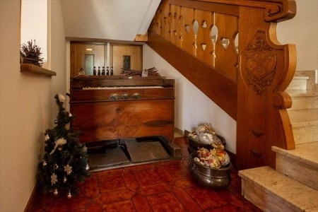 Stella Alpina (Bellamonte) - 31