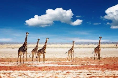 To nejlepší z Namibie - 10