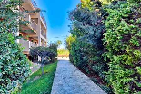 Grécko Zakynthos Strofades Beach 15 dňový pobyt All Inclusive Letecky Letisko: Praha June 2026 (10/06/26-24/06/26)