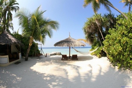 Nika Island Resort - 6