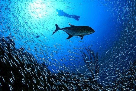 Kapverdské ostrovy Ostrov Sal Dunas Del Sal 16 dňový pobyt Polpenzia Letecky Letisko: Praha September 2026 (24/09/26- 9/10/26)