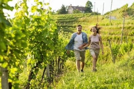 Bungalovy Thermal Spa Ptuj - 16