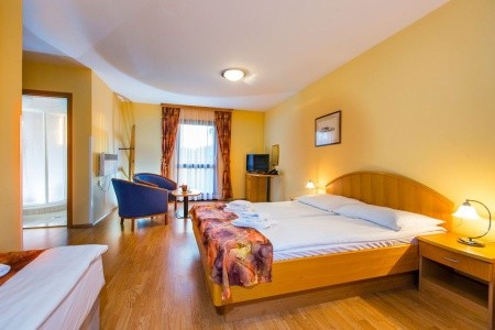 Bungalovy Thermal Spa Ptuj - 29