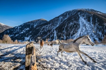 Residence Marilleva 1400 - 6