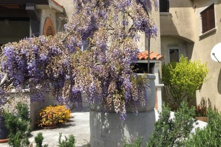 Apartmány 3298-2413 - 11