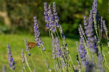 Apartmány 3298-2413 - 18