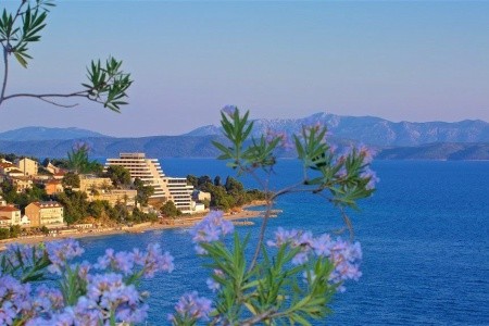 Medora Auri (Ex. Minerva) - 18