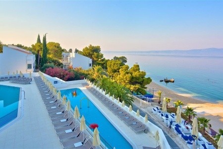 Medora Auri (Ex. Minerva) - 24