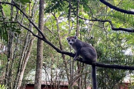 Madagaskar - to nej z jižní a západní části ostrova - 2