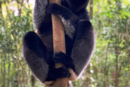 Madagaskar - to nej z jižní a západní části ostrova - 4