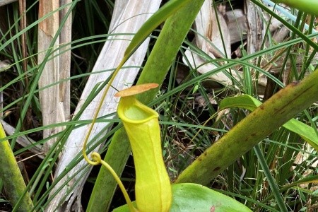 Madagaskar - to nej z jižní a západní části ostrova - 5