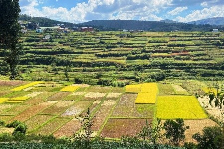 Madagaskar - to nej z jižní a západní části ostrova - 7