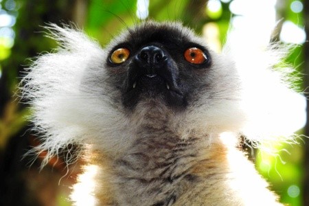 Madagaskar - to nej z jižní a západní části ostrova - 12