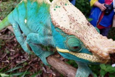 Madagaskar - to nej z jižní a západní části ostrova - 15