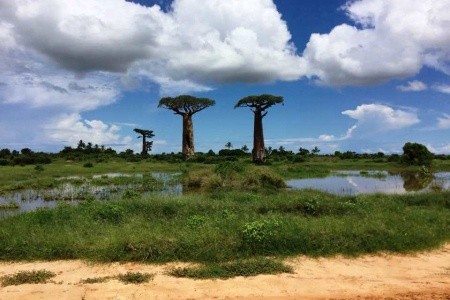 Madagaskar - to nej z jižní a západní části ostrova - 17