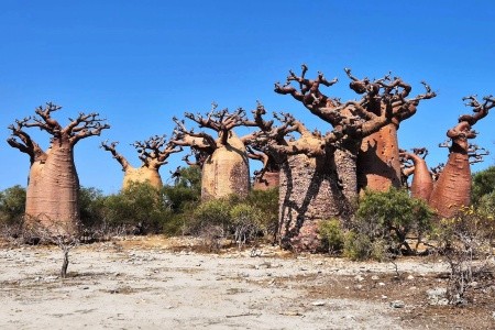 Madagaskar - to nej z jižní a západní části ostrova - 18