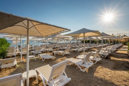 Aydinbey Gold Dreams - 62