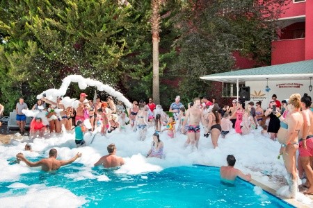 Aydinbey Gold Dreams - 80