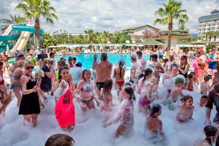 Aydinbey Gold Dreams - 82