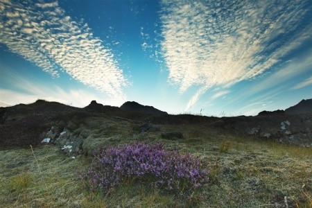 Island - mezi ledovci, sopkami a horskými prameny - 10
