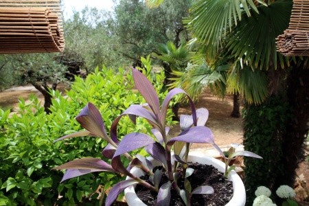 Apartmány 3298-5105 - 41