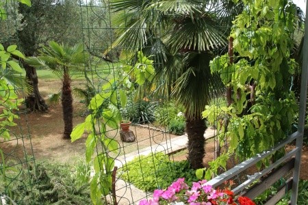 Apartmány 3298-5105 - 42