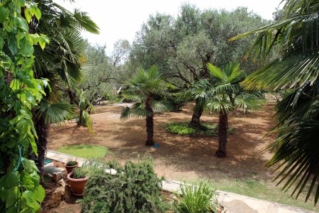 Apartmány 3298-5105 - 45