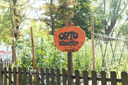 Color Green Village - 16