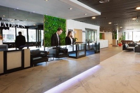 Jr Hotels Amadeus Bologna - 7