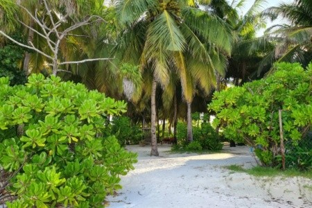 Maldivy  Nazaki Residences (Gan) 11 dňový pobyt Plná penzia Letecky Letisko: Praha February 2026 (14/02/26-24/02/26)