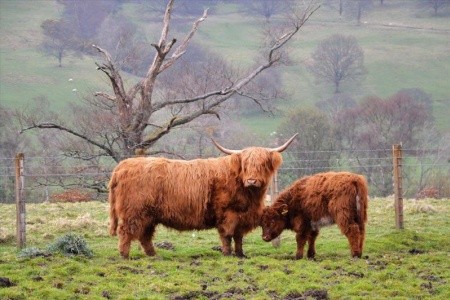 Tajemství Skotska a ostrov Skye - 12