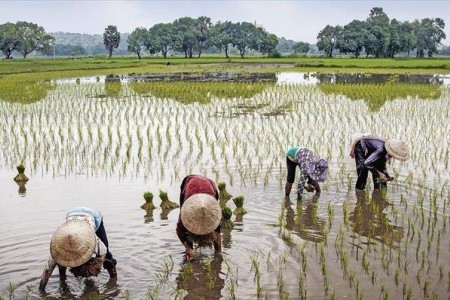 Krásy Vietnamu luxusně a relax na pláži, malá skupina - 15