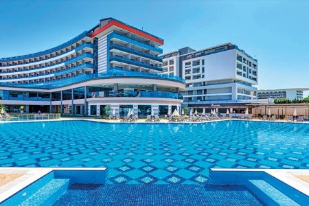 Lonicera Premium - 2