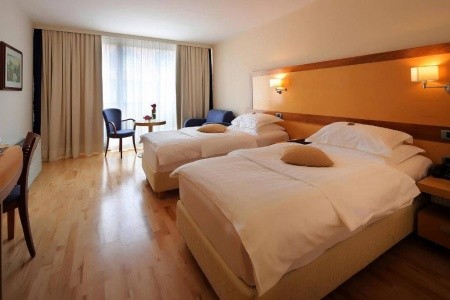 Slovinsko Bled Lovec (Bled) 4 dňový pobyt Raňajky Vlastná June 2026 (26/06/26-29/06/26)