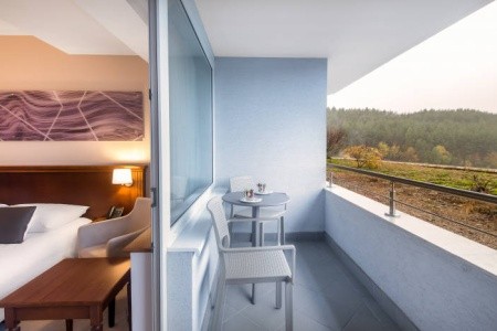 Maďarsko Severné Maďarsko Saliris Resort Spa & Konferencia Hotel 5 dňový pobyt Raňajky Vlastná May 2026 (29/05/26- 2/06/26)