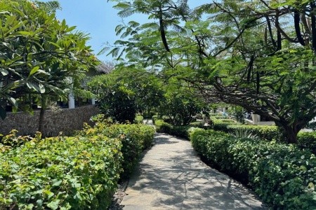 Jumbo Club Watamu Beach - 13