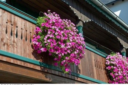 Seehotel Schlick - 14