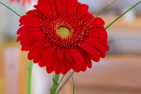 Apartmány 3298-1137 - 53