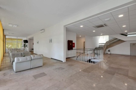 Alemaris (Ex. Alem) - 7