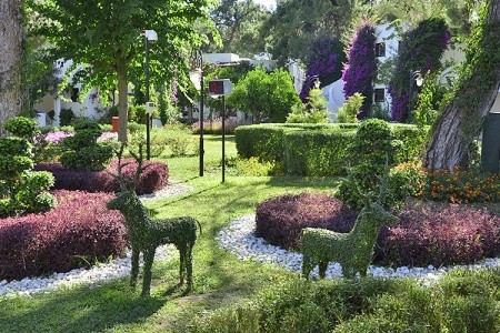 Emelda Sun Club - 10