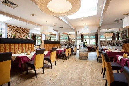 Vitalhotel Gosau - 10