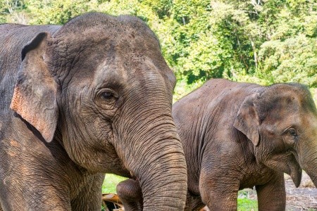 Chrámy a příroda jižního Thajska - 16