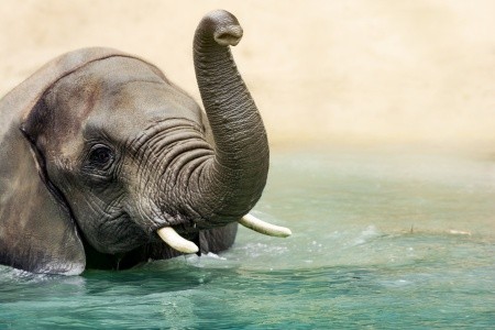 Chrámy a příroda jižního Thajska - 17